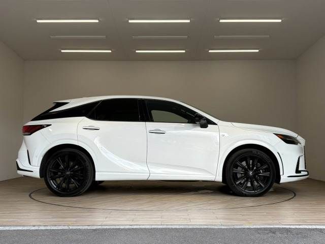 LEXUS RX500h
