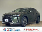 LEXUS UX250h