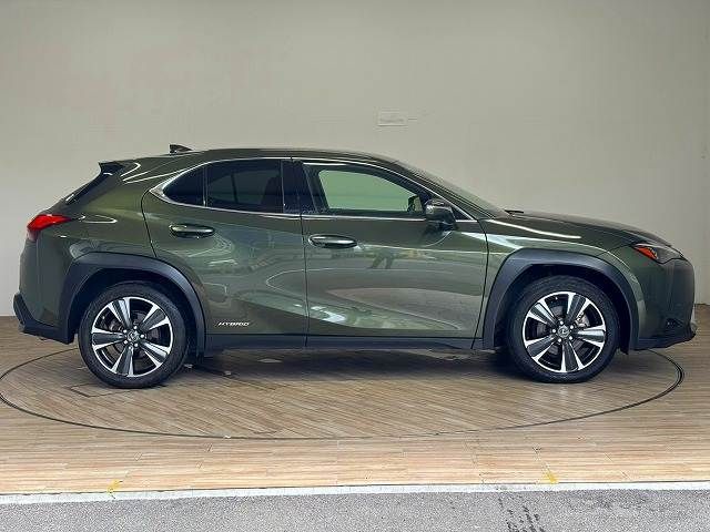 LEXUS UX250h