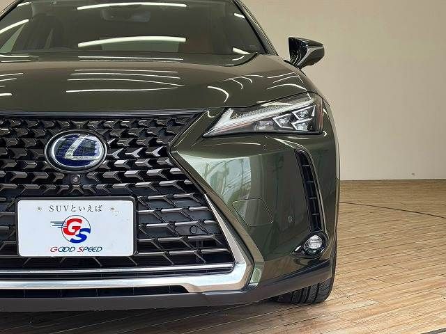 LEXUS UX250h