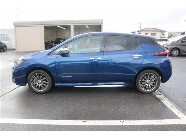 LEAF
