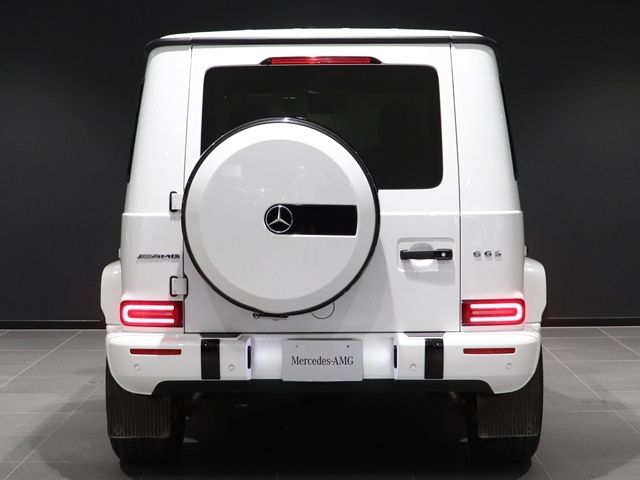 MERCEDES AMG G class