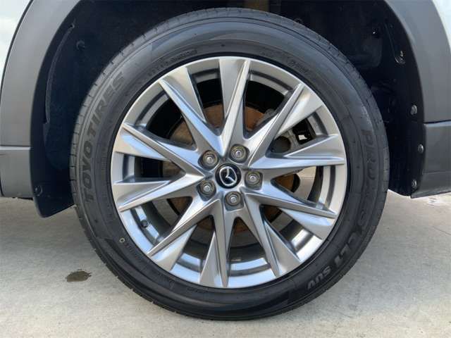 CX-8