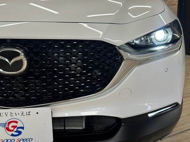 CX-30