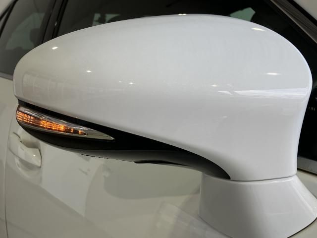 LEXUS GS300h