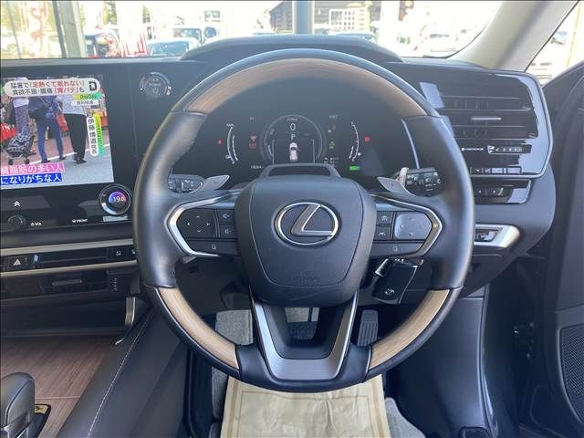 LEXUS RX450h+
