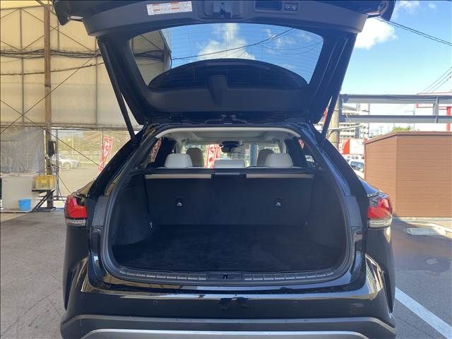 LEXUS RX450h+