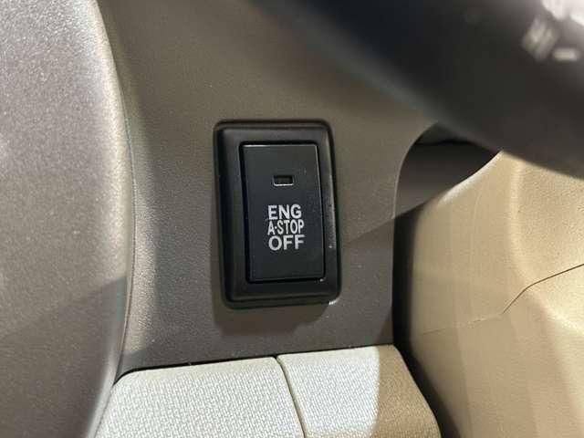 ALTO ECO