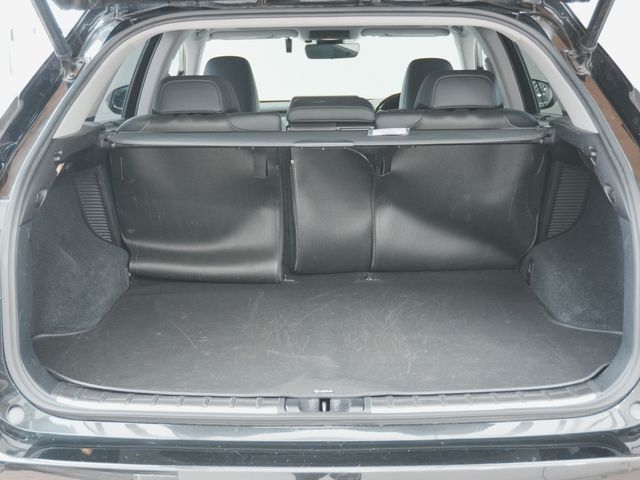 LEXUS RX450h AWD