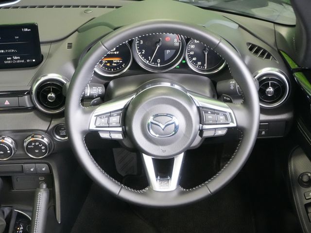 ROADSTER