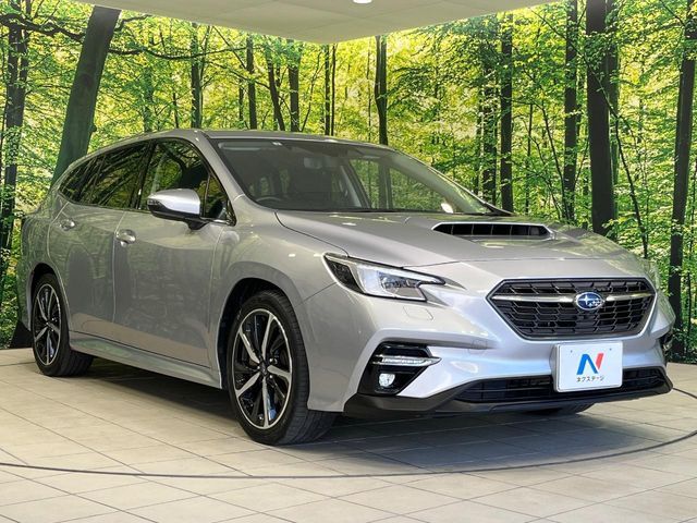 LEVORG