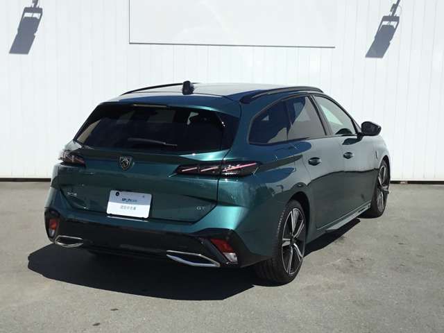 PEUGEOT 308SW