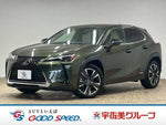 LEXUS UX250h