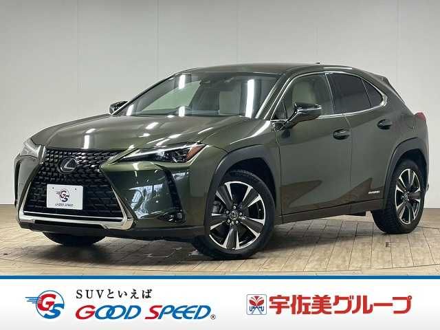 LEXUS UX250h