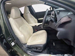 LEXUS UX250h