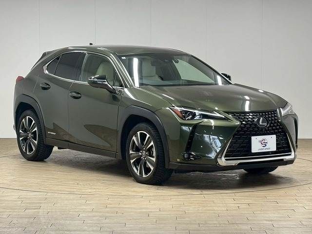 LEXUS UX250h