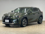 LEXUS UX250h