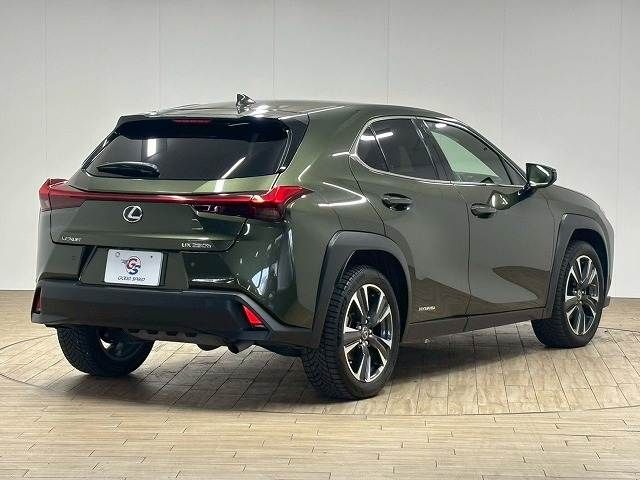 LEXUS UX250h