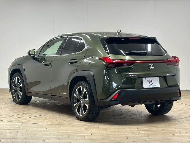 LEXUS UX250h