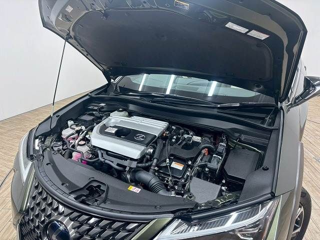 LEXUS UX250h