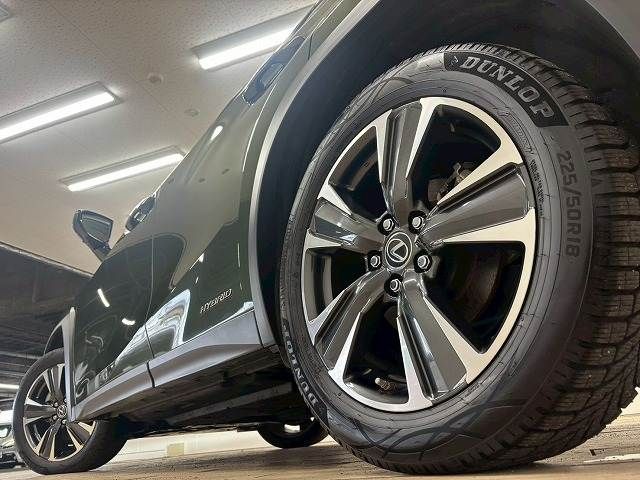 LEXUS UX250h