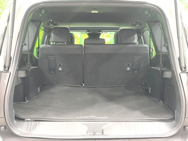LANDCRUISER 250
