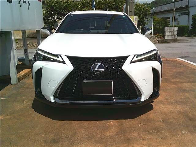 LEXUS UX300h