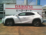LEXUS UX300h