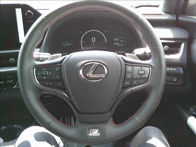 LEXUS UX300h