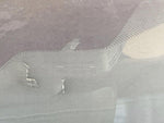 LEXUS NX350h