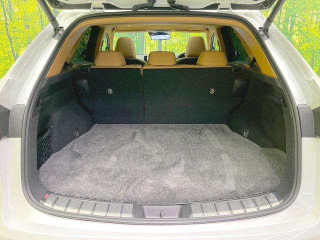 LEXUS NX350h