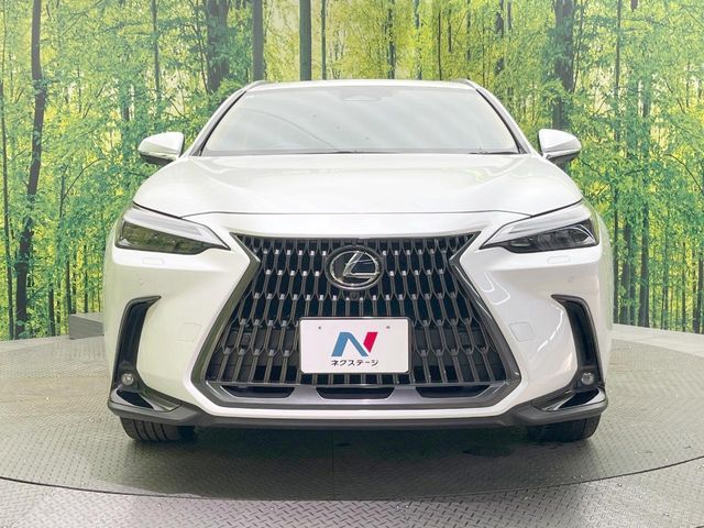 LEXUS NX350h