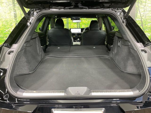 CROWN SPORT