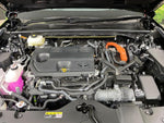 CROWN SPORT