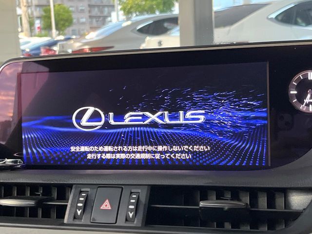 LEXUS ES300h