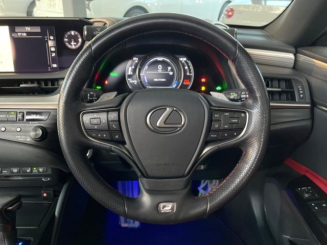 LEXUS ES300h