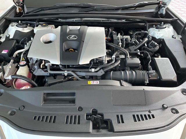 LEXUS ES300h