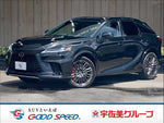 LEXUS RX500h