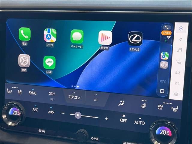LEXUS RX500h