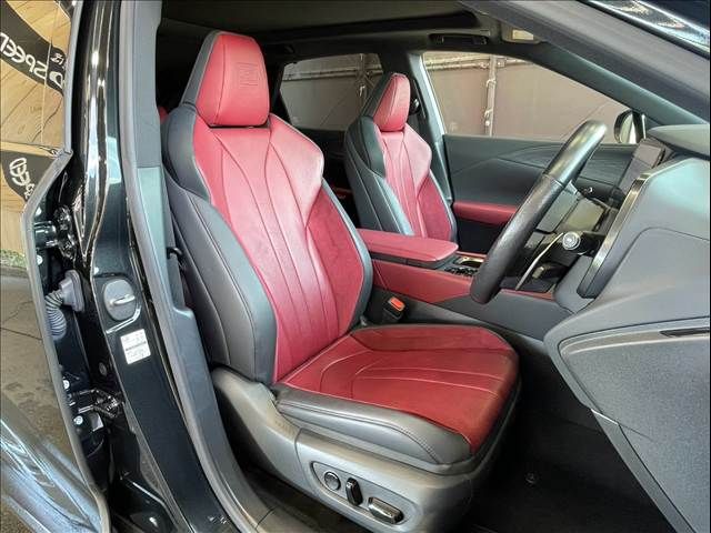 LEXUS RX500h