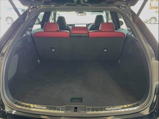LEXUS RX500h