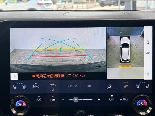 LEXUS RX500h