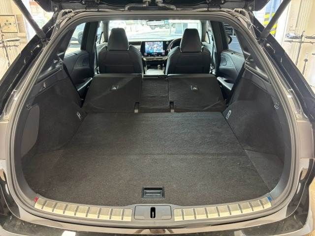 LEXUS RX500h