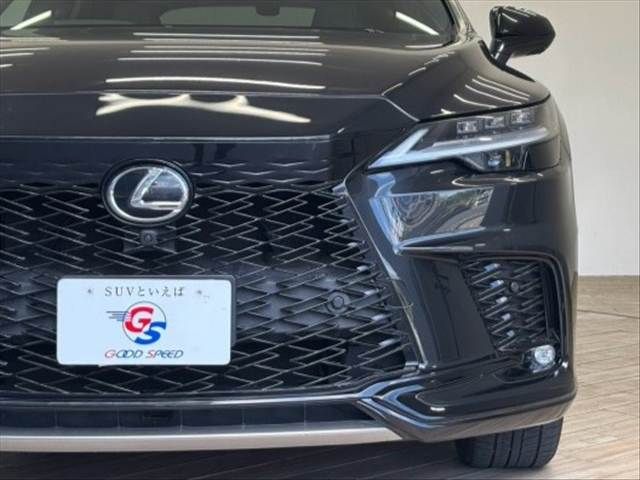 LEXUS RX500h