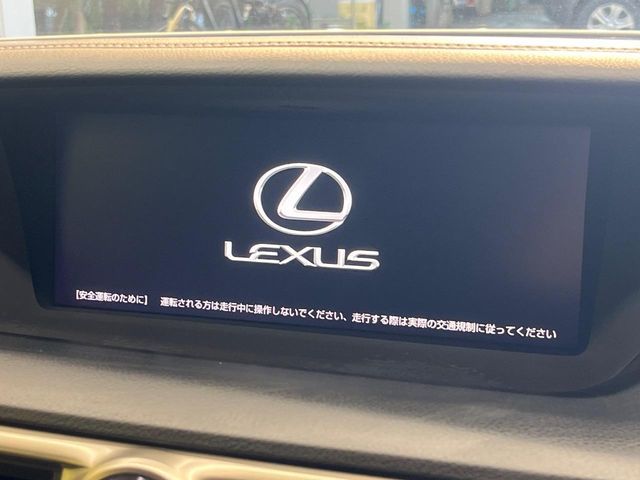 LEXUS GS300h