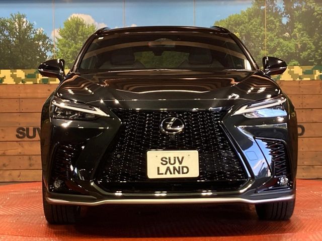 LEXUS NX350h AWD