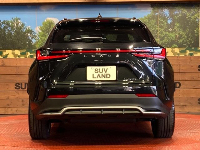 LEXUS NX350h AWD