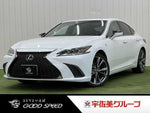 LEXUS ES300h