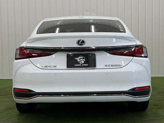 LEXUS ES300h
