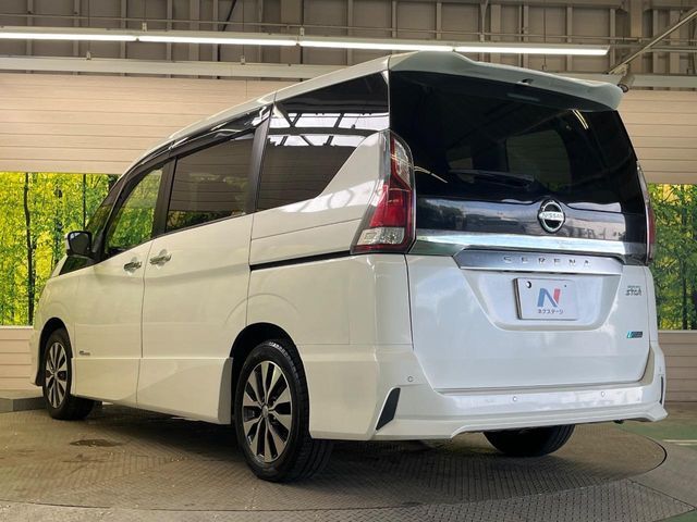 SERENA  S-HYBRID